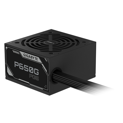 ATX 3.1 650W - 80+ GOLD - P650G PCIE 5.1