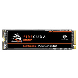 500Go FireCuda 530 M.2 NVMe Gen4 - ZP500GM3A013