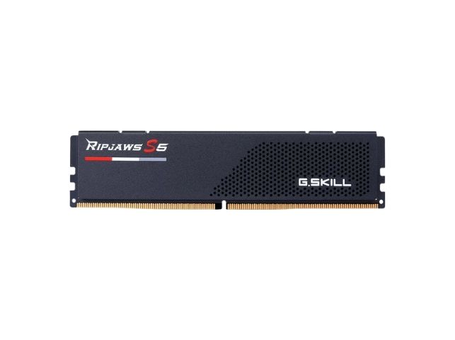 F5-5600J4645A32GX1-RS5K DDR5 (1x32GB 5600 CL46)