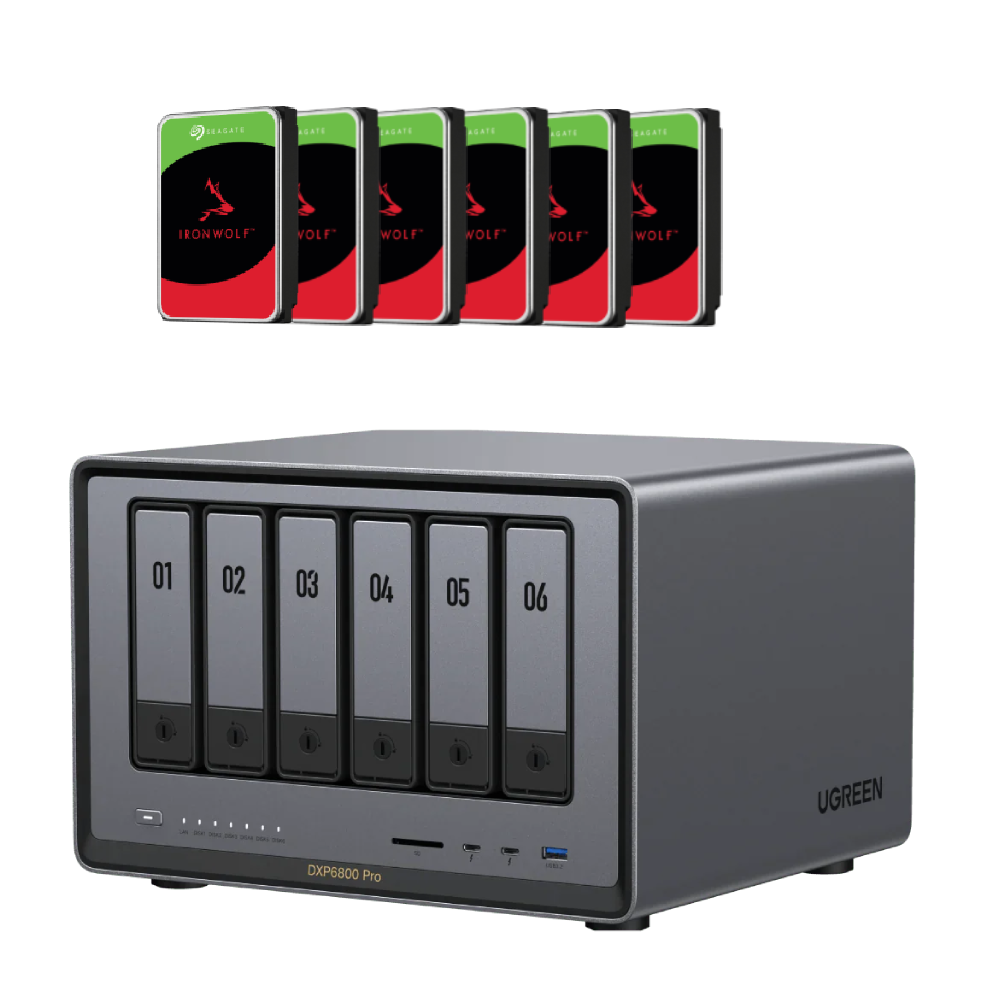 DXP6800 Pro - 6 Baies avec 6 disques 12To Ironwolf 