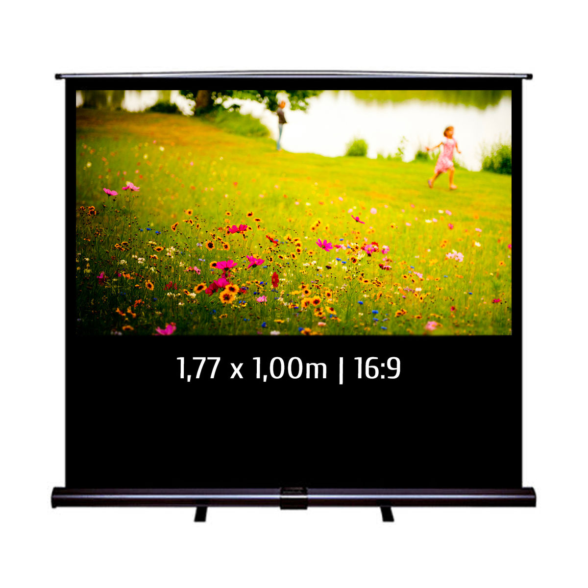 Ecran de projection Pull Up 1,77x1,00m 16:9