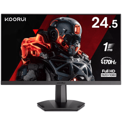 25E3A 24.5" FHD 170Hz/VA/1ms/HDMI/DP/Adapt Sync#