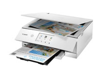 PIXMA TS8351 White