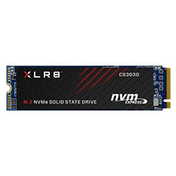 250Go M.2 NVMe - CS3030