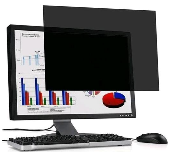Filtre de confidentialité 2D 23.8"