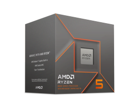 Ryzen 5 8500G - 5GHz/22Mo/AM5/BOX