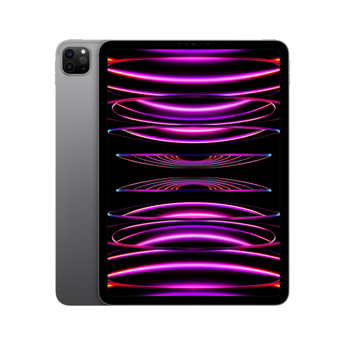 iPad Pro (2022) 11" 128Go Wi-Fi Gris Sidéral