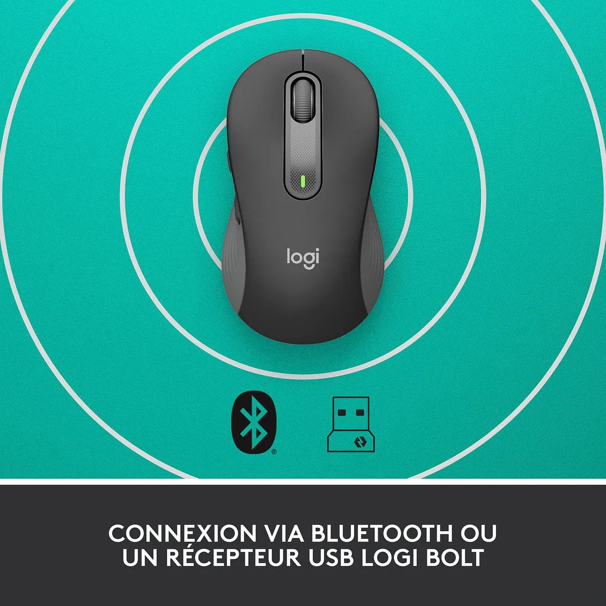 Logitech Signature M650 - Sans-Fil - Graphite — vue 4