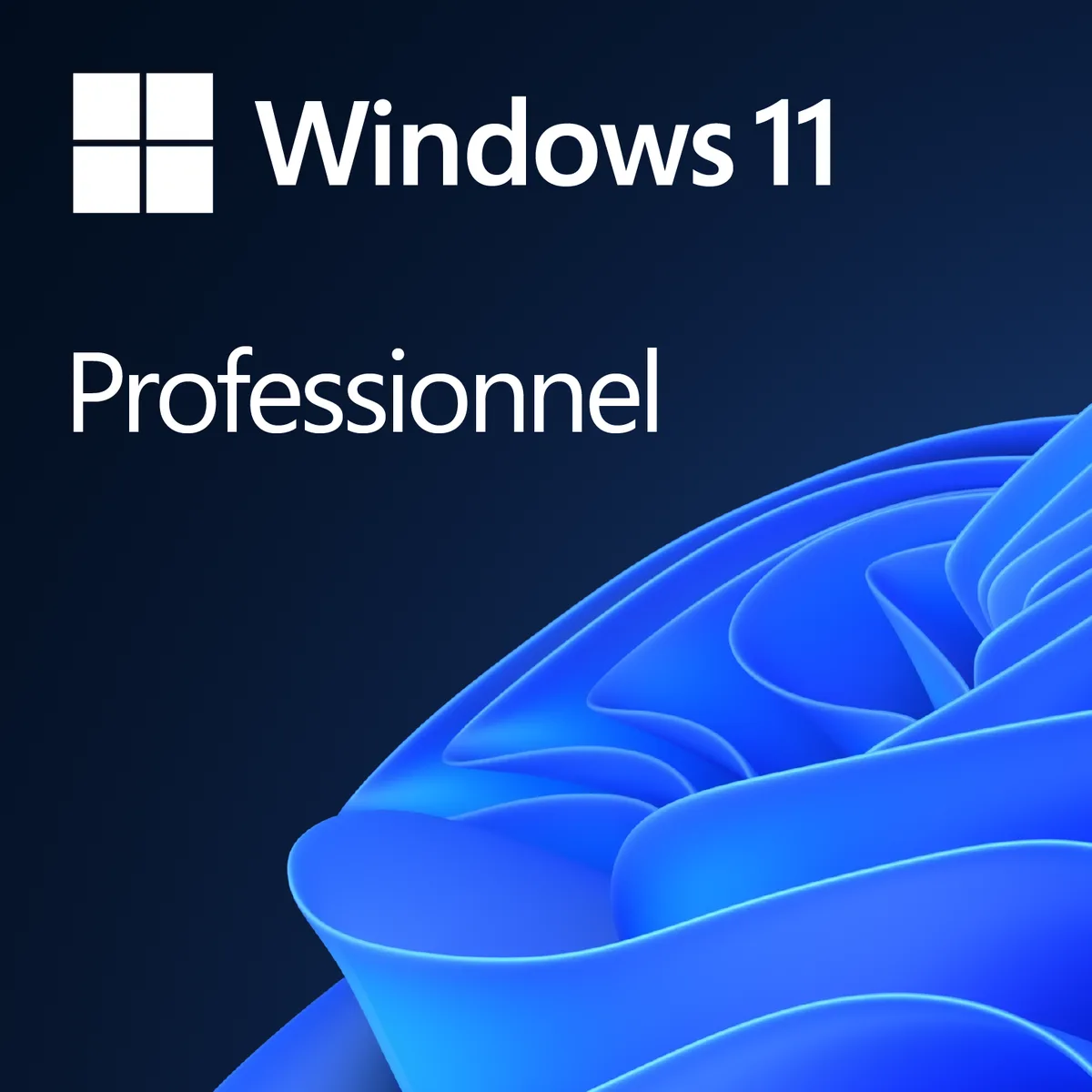 Microsoft Windows 11 PRO 64Bits — vue 1