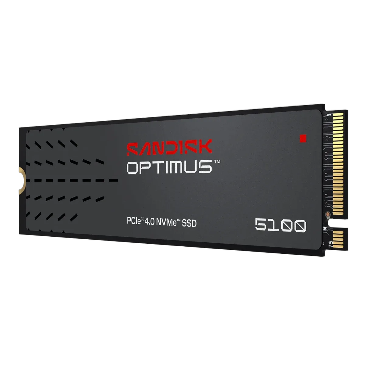 Sandisk 1To M.2 NVMe - Optimus 5100, vue 1