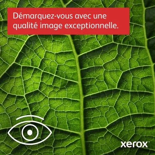Xerox B315 Monochrome/WiFi — vue 16