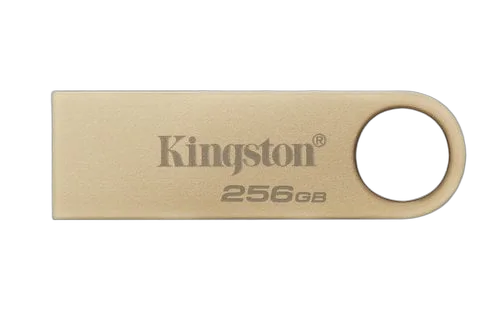 Kingston Clé 256Go USB 3.2 Datatraveler DTSE9G3/256Go