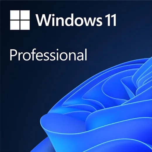 Microsoft Windows 11 PRO HIGH END (OEM Activation MUP-00005) — vue 1