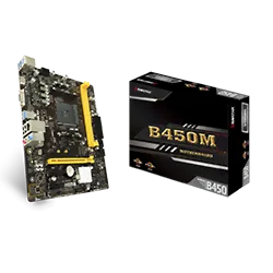 Biostar B450MH-Seconde Vie